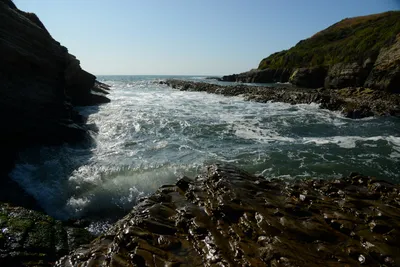 DSC_2689 (Large).JPG